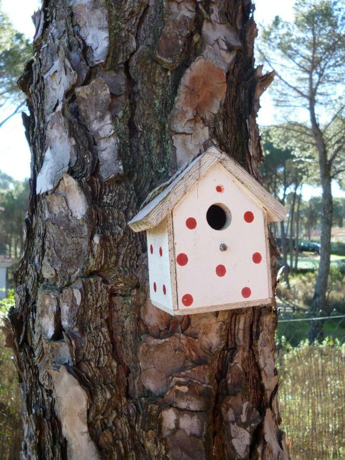 Casa Encantadora Con Piscina Privada Y Chimenea Villa Las Jaras Eksteriør bilde